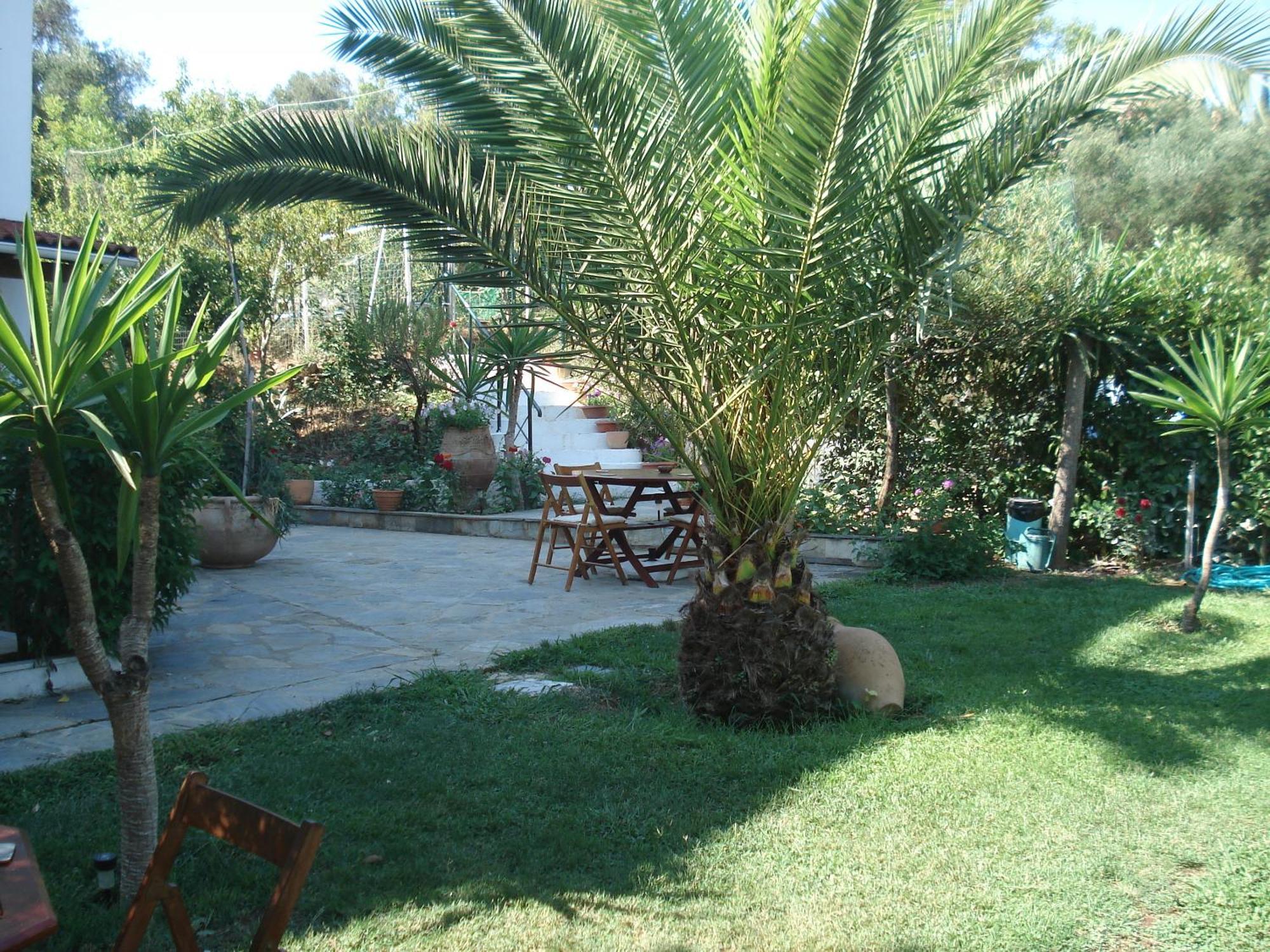 Villa Avra Dassia  Exterior photo